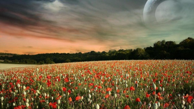 惠州市网站建设_网站建设公司_网站建设设计制作_seo优化